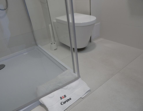 Pokój Dwuosobowy typu Deluxe (2 osoby dorosłe + 2 dzieci) nowoczesna łazienka przystosowana