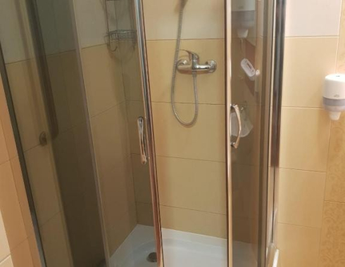 Pokój Dwuosobowy typu Deluxe (2 osoby dorosłe + 2 dzieci) Kabina Prysznicowa