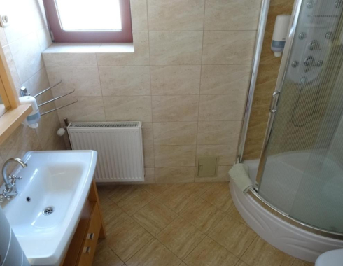 Pokój Dwuosobowy typu Deluxe (2 osoby dorosłe + 2 dzieci) Kabina Prysznicowa